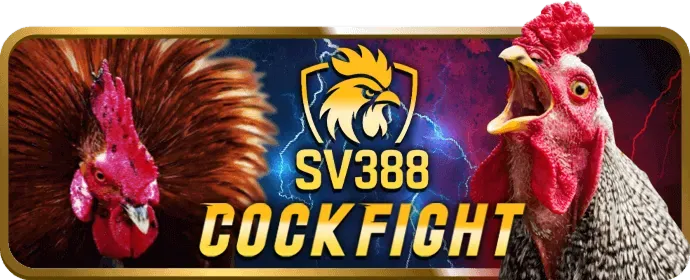 Hoàn trả cao hơn VIP i9bet121